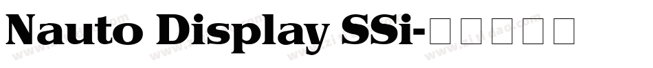 Nauto Display SSi字体转换